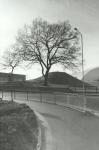 Montem Mound, Montem Lane, February 1997