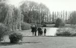 Baylis Park Pond, May 1973