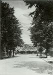 Turner's Royal Nurseries, The Grove